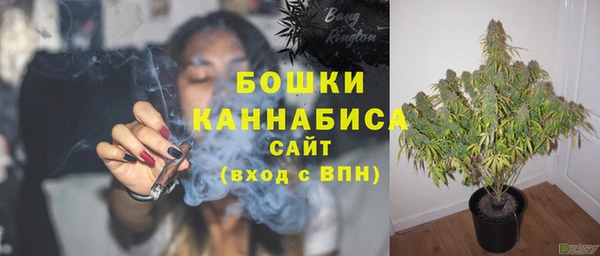 ГАЛЛЮЦИНОГЕННЫЕ ГРИБЫ Магас