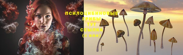 таблы Магадан