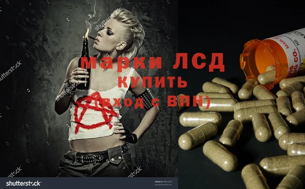 ГАЛЛЮЦИНОГЕННЫЕ ГРИБЫ Магас