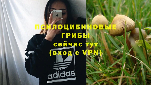 таблы Магадан
