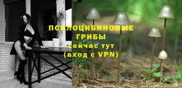 ГАЛЛЮЦИНОГЕННЫЕ ГРИБЫ Магас