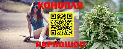 круглые Камышлов