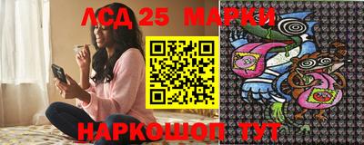 Альфа ПВП Кандалакша